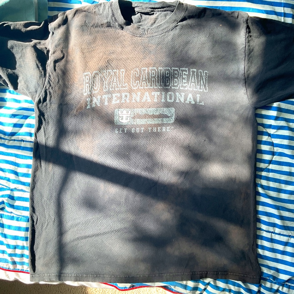 Vintage champions t-shirt